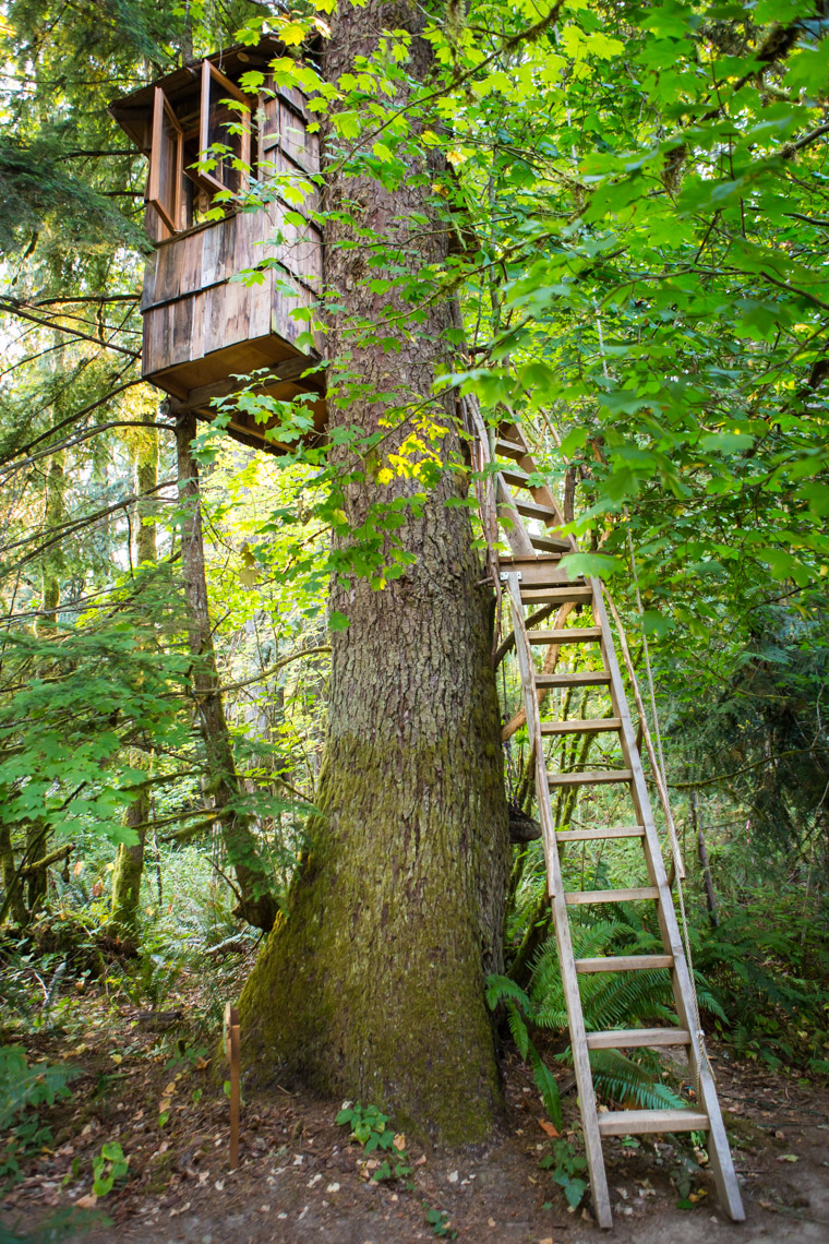 A treehouse at Treehouse Point, Preston WA, USA.