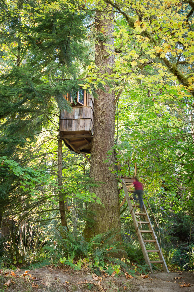 A young boy (8-12 years old) climbs the ladder of a treehouse at Treehouse Point, Preston WA, USA.