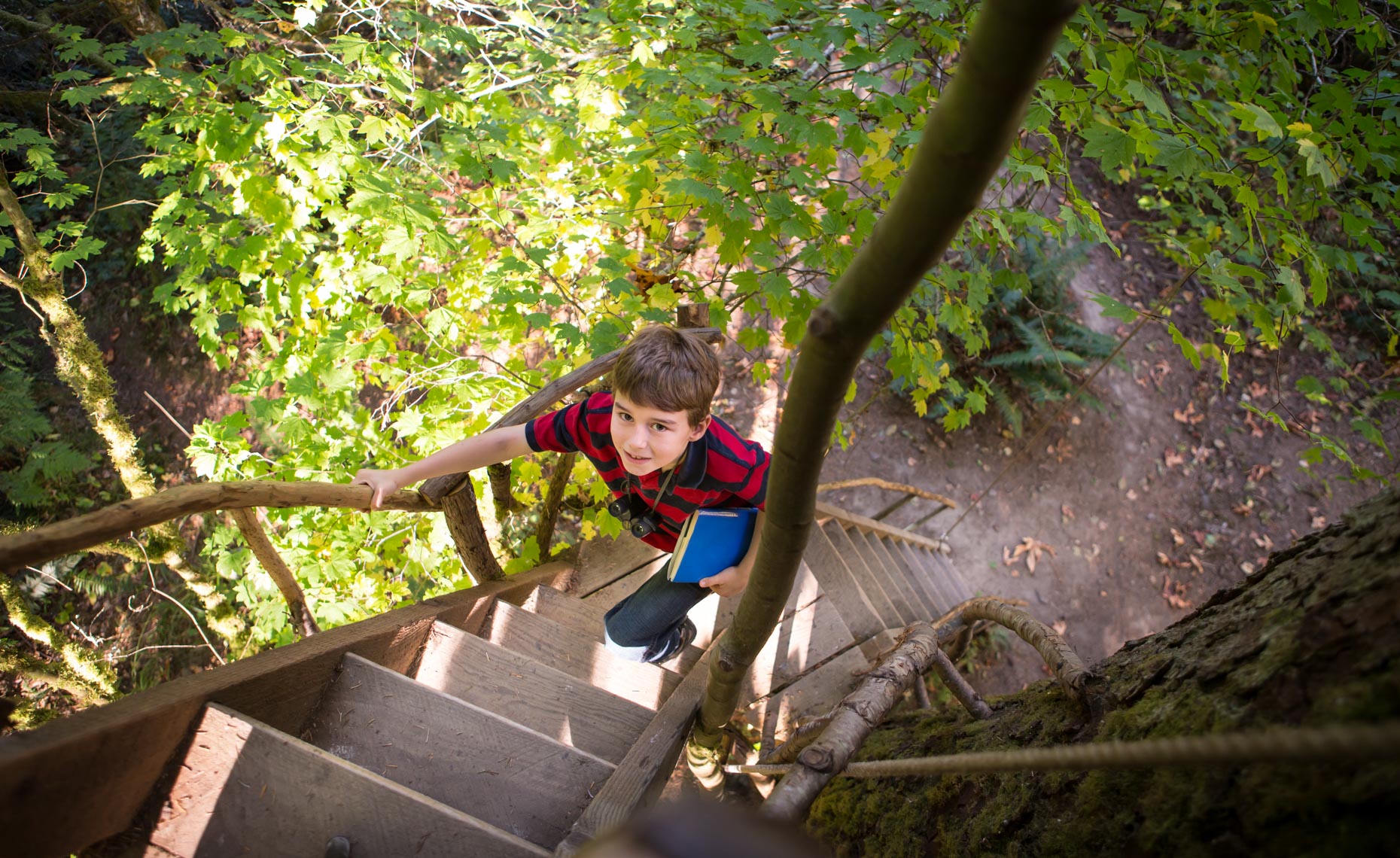 A young boy (8-12 years old) climbs the ladder of a treehouse at Treehouse Point, Preston WA, USA.