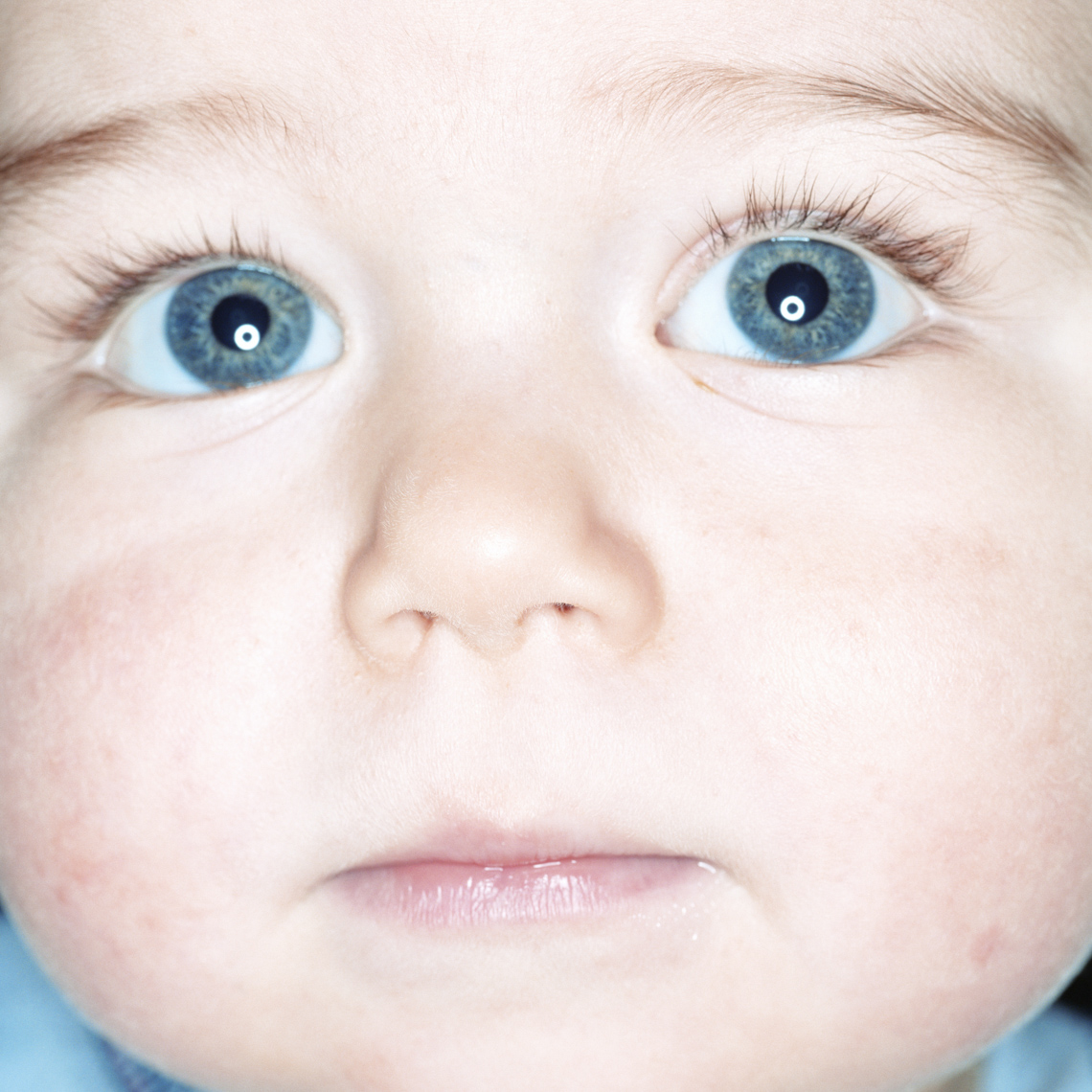 Baby boy (12-15 months), portrait, close-up