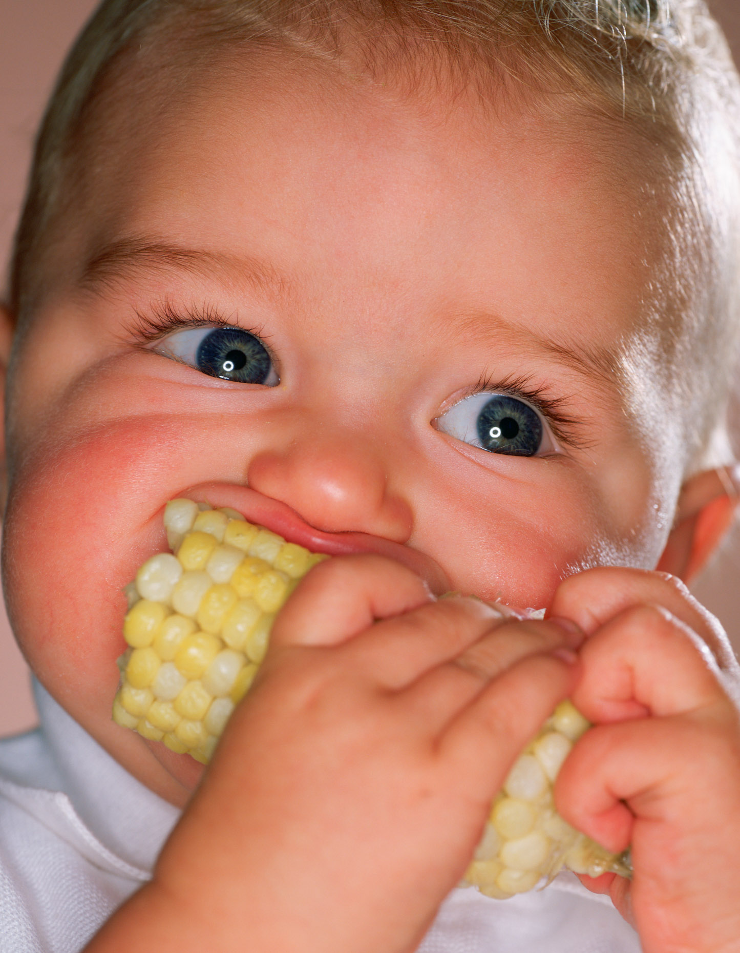 Close up of male toddler (12-15 months old) eats corn on the cob.
